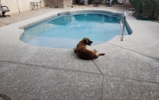 Plan Your Custom Pool for Next Summer in Arizona, pool construction
